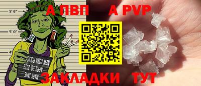 a pvp Кингисепп