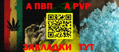 a pvp Кингисепп