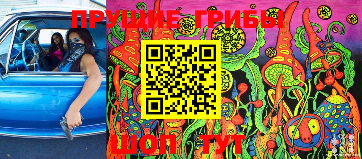 Галлюциногенные грибы Psilocybine cubensis  где найти наркотики  Чернушка  Псилоцибиновые грибы ЛСД 